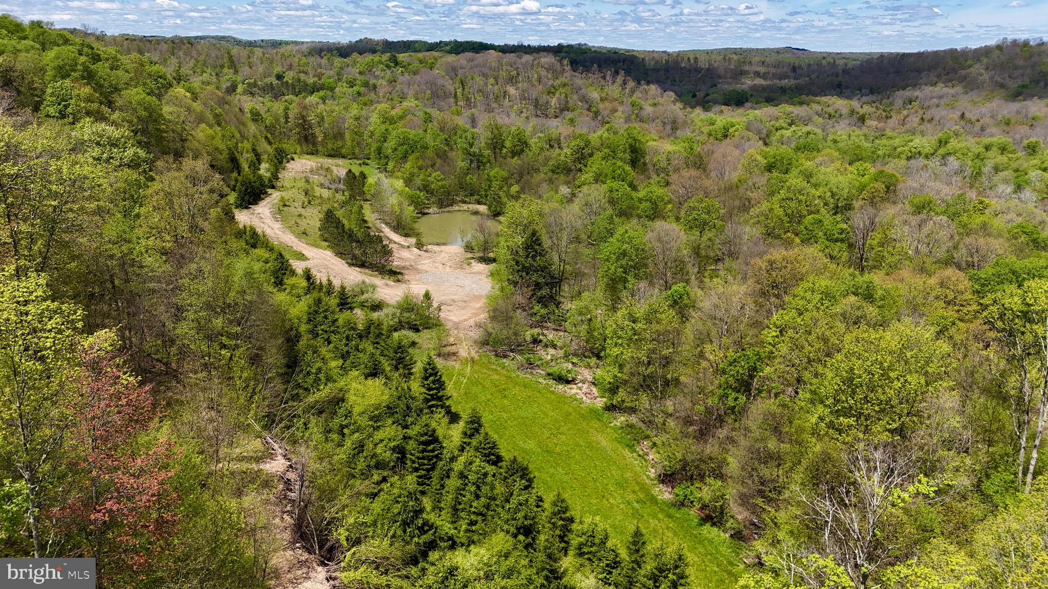 2800 Center Hill Road Brookville, PA 15825 - Photo 34 of 34 a view of a yard