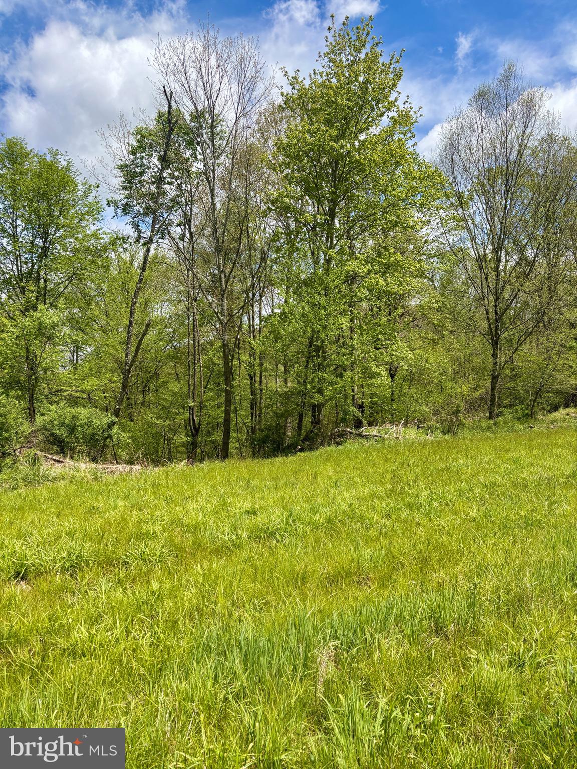 2800 Center Hill Road Brookville, PA 15825 - Photo 9 of 34 a view of outdoor space and yard