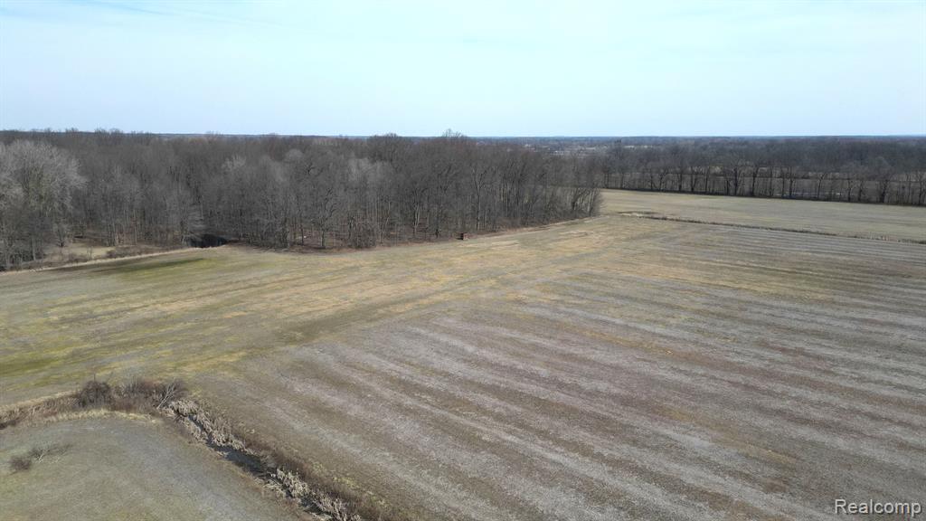 11 Kunstman Road Ray, MI 48096 - Photo 5 of 19