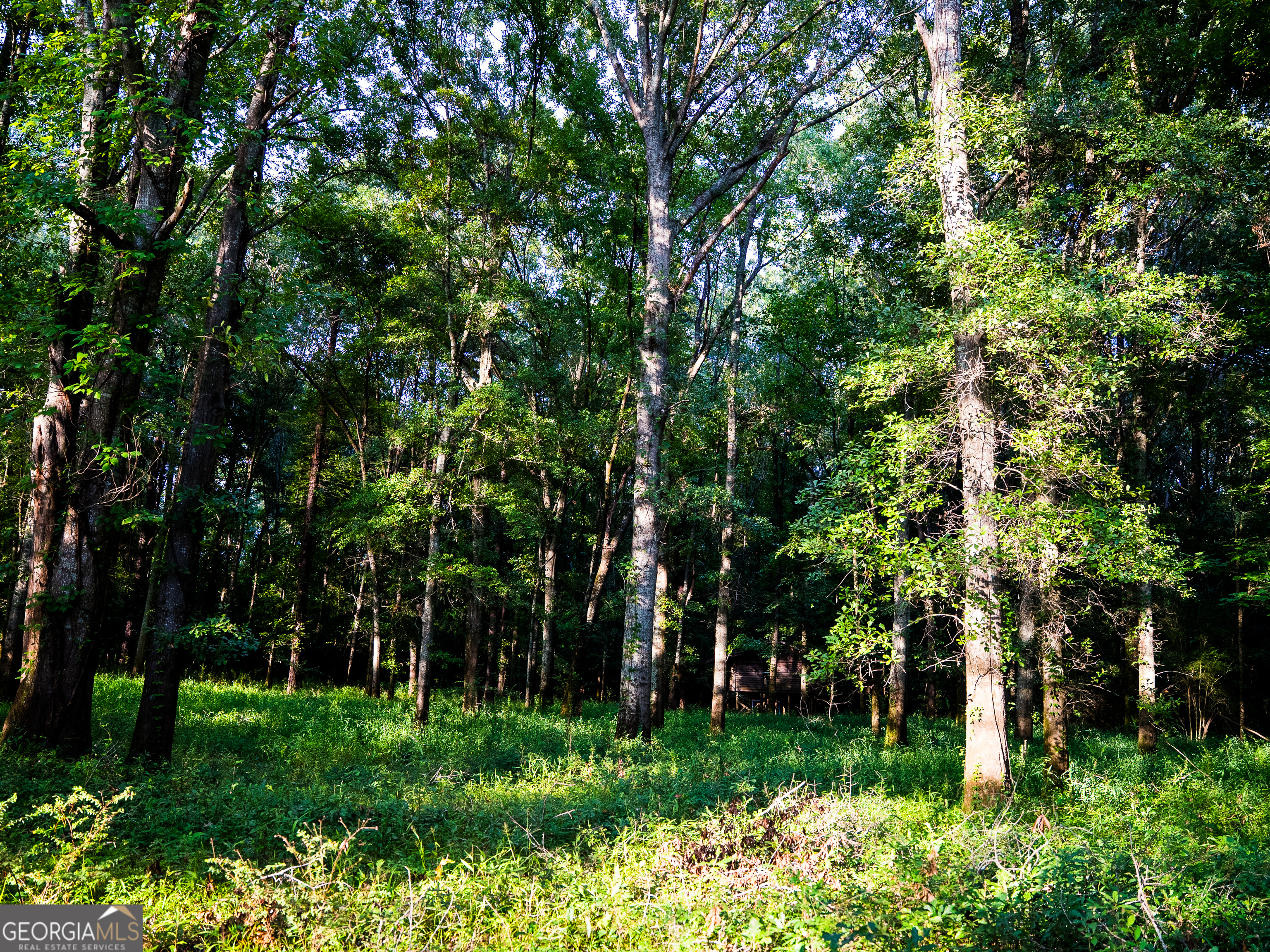 Tbd State Route 26 Road Montezuma, GA 31063 - Photo 36 of 52