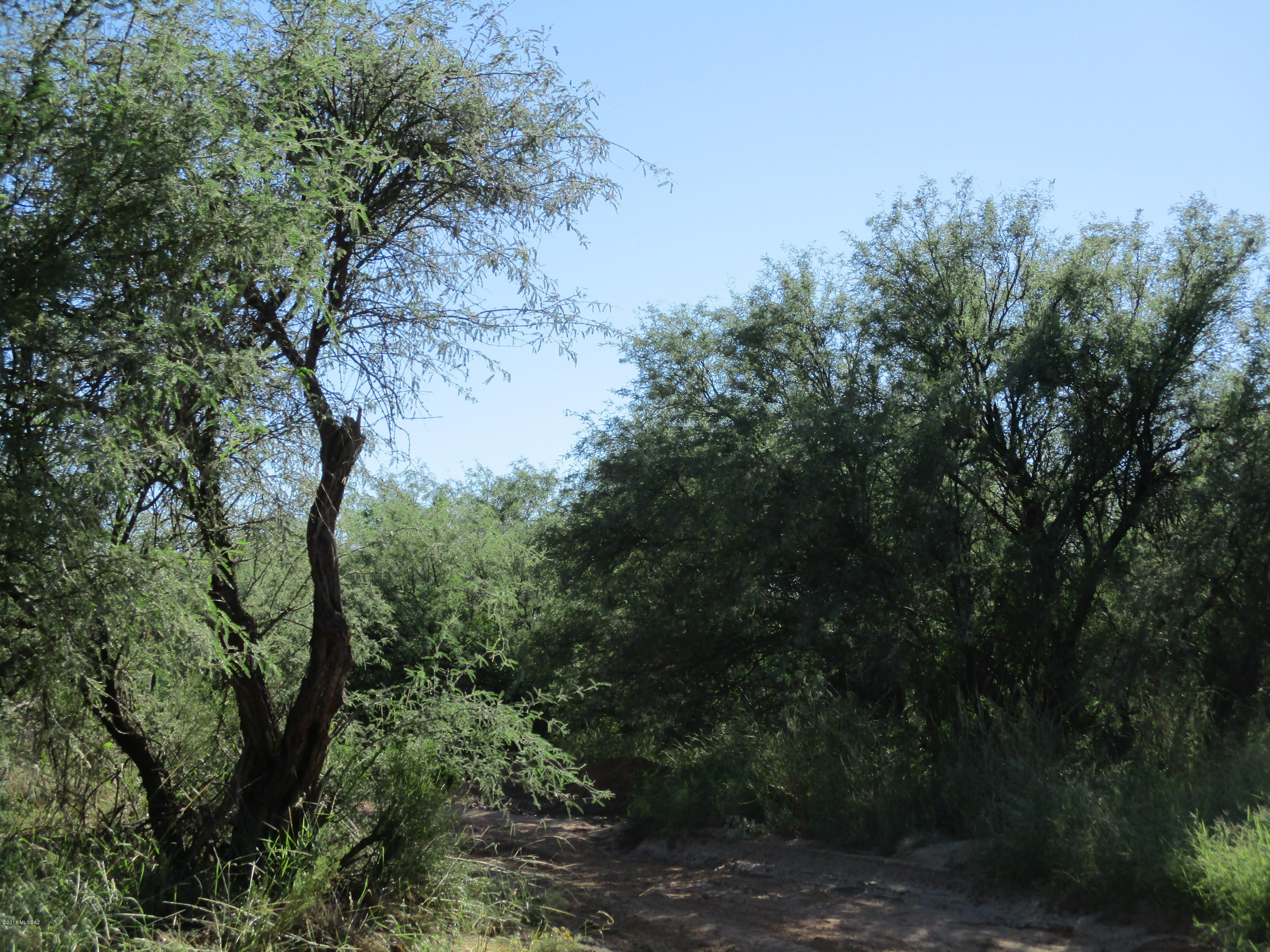 West Snyder Hill Road, Unit 32 Tucson, AZ 85735 - Photo 2 of 5