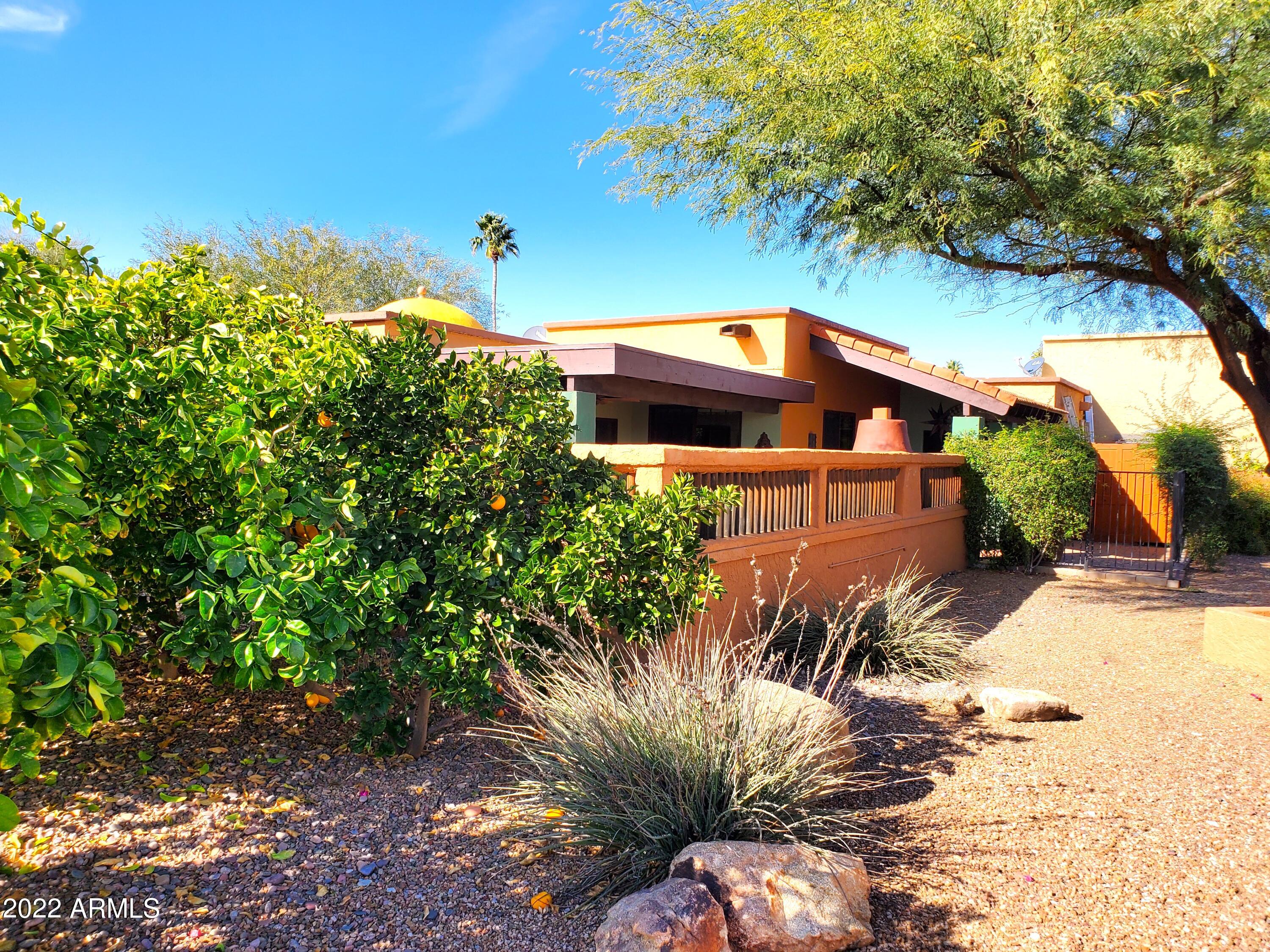 26223 North Bravo Lane Rio Verde, AZ 85263 - Photo 8 of 9 Citrus Trees