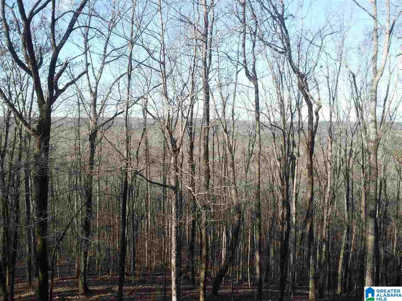 9122 Bluff Ridge Road Bessemer, AL 35022 - Photo 15 of 20