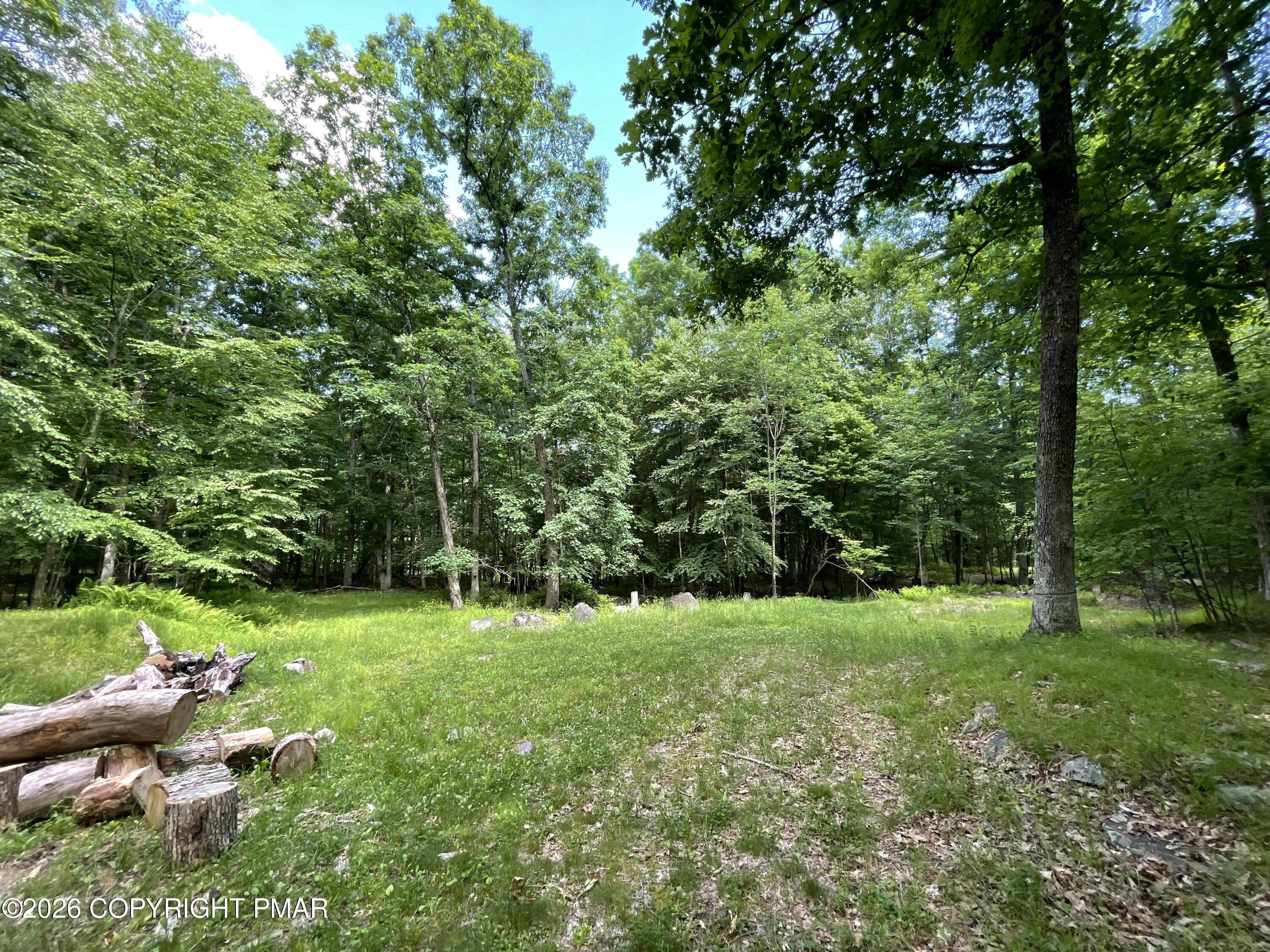 252 Mud Run Road Cresco, PA 18326 - Photo 2 of 7 Property
