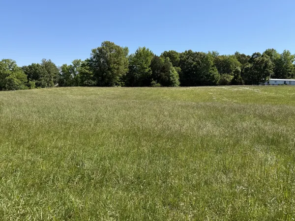a view of a green field with a tree in the background