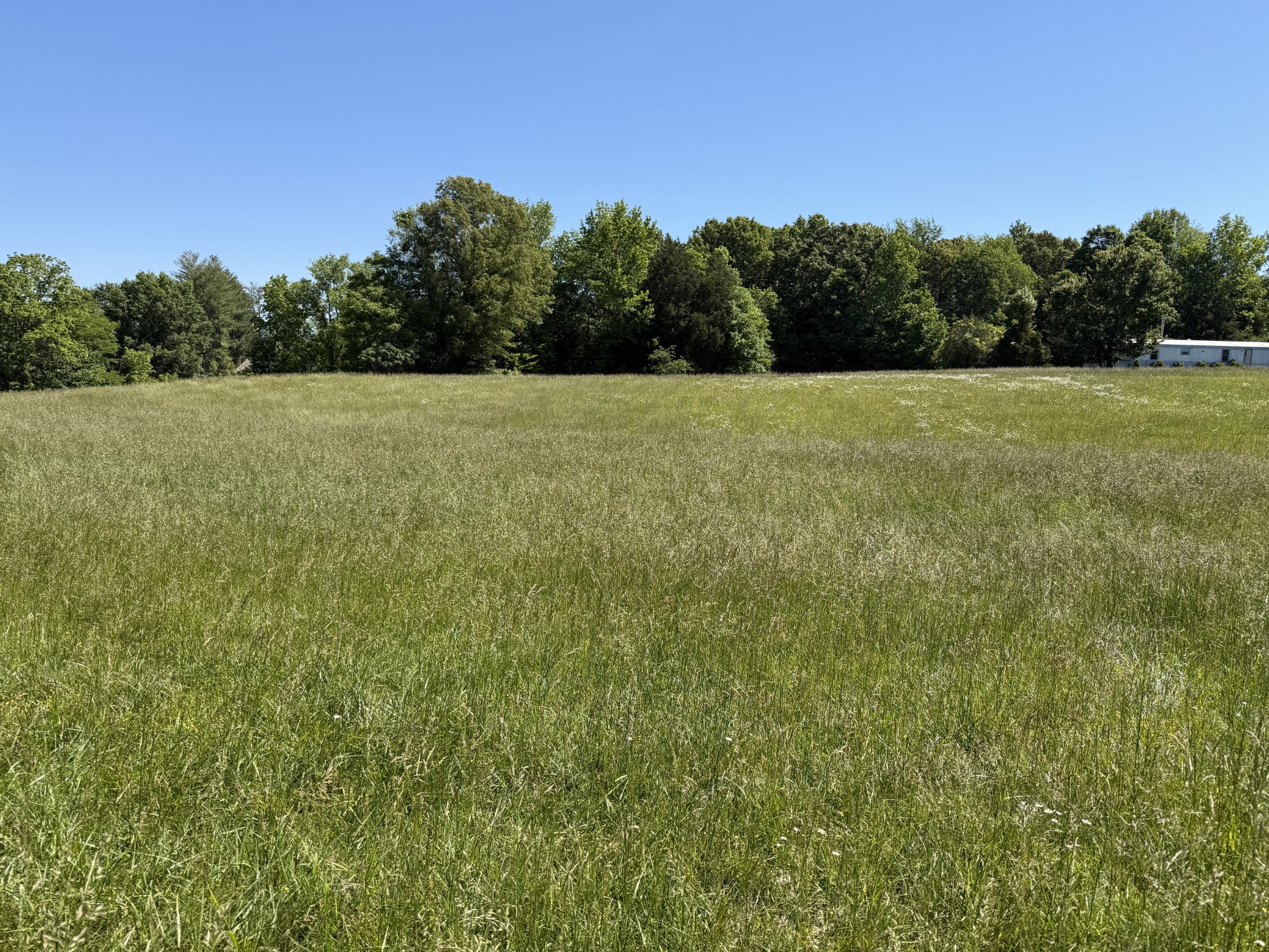 0 Flewellen Road Springfield, TN 37172 - Photo 1 of 3 a view of a green field with a tree in the background