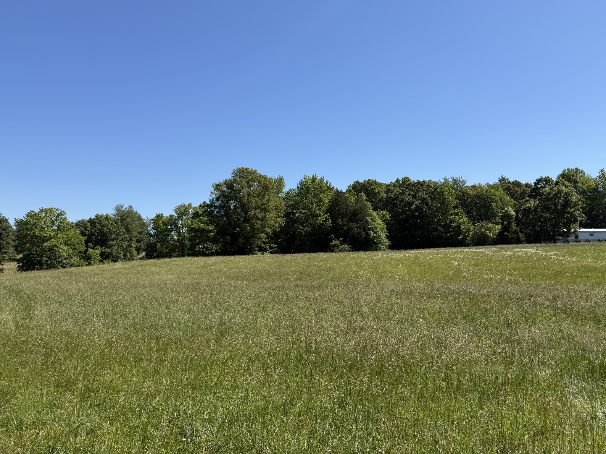 0 Flewellen Road Springfield, TN 37172 - Photo 2 of 3 a view of a field with trees in background
