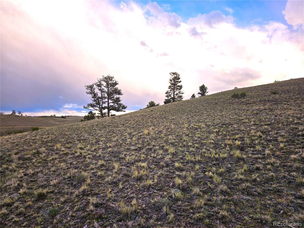 25427 Yuma Road Hartsel, CO 80449 - Photo 20 of 31