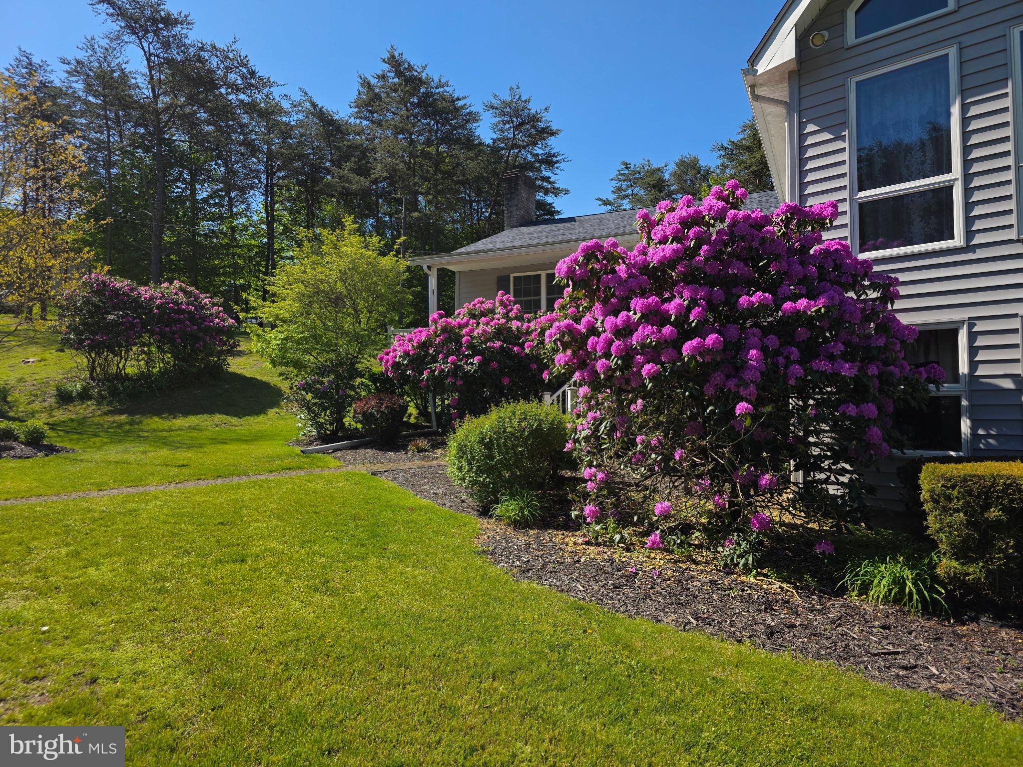 1538 Chess Club Road James Creek, PA 16657 - Photo 59 of 75
