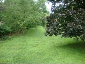 50 Ridge Street Castlewood, VA 24224 - Photo 4 of 10 Photo 4