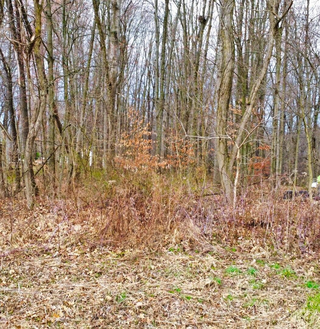 Tbd King Road Howard, OH 43028 - Photo 7 of 20 7