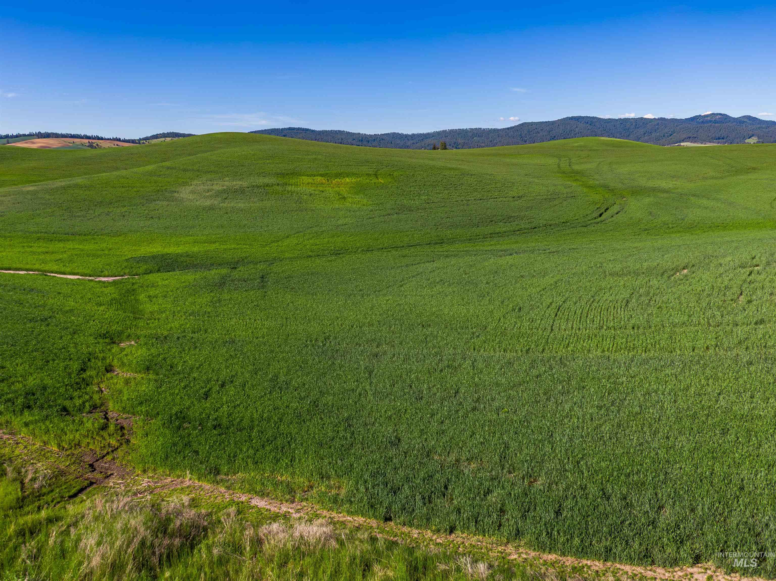 Tbd/000 Mix Road Moscow, ID 83843 - Photo 11 of 31 View of property's community with a mountain view