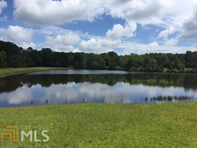13668 Panhandle Road Hampton, GA 30228 - Photo 1 of 1 Gallery Image 1