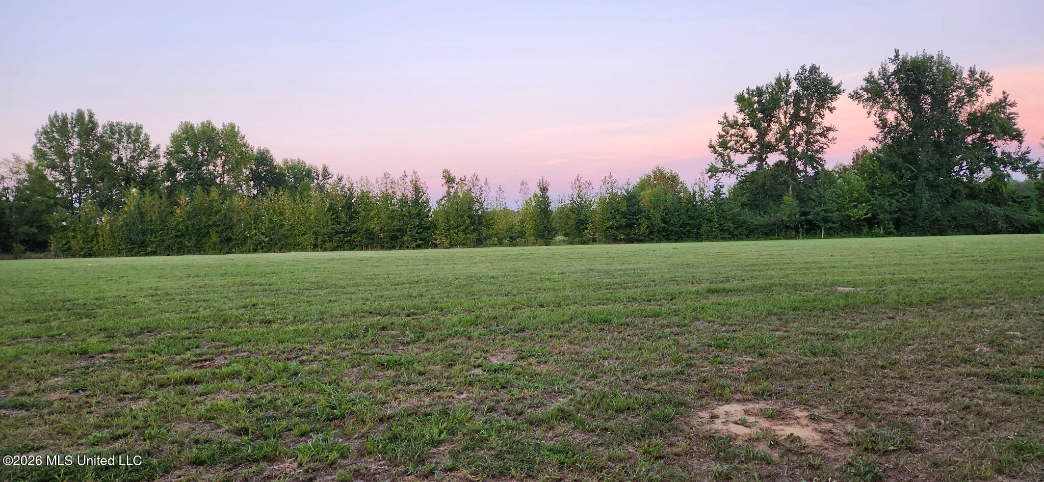 0 Country Church Road Lamar, MS 38642 - Photo 9 of 9 Picture 9