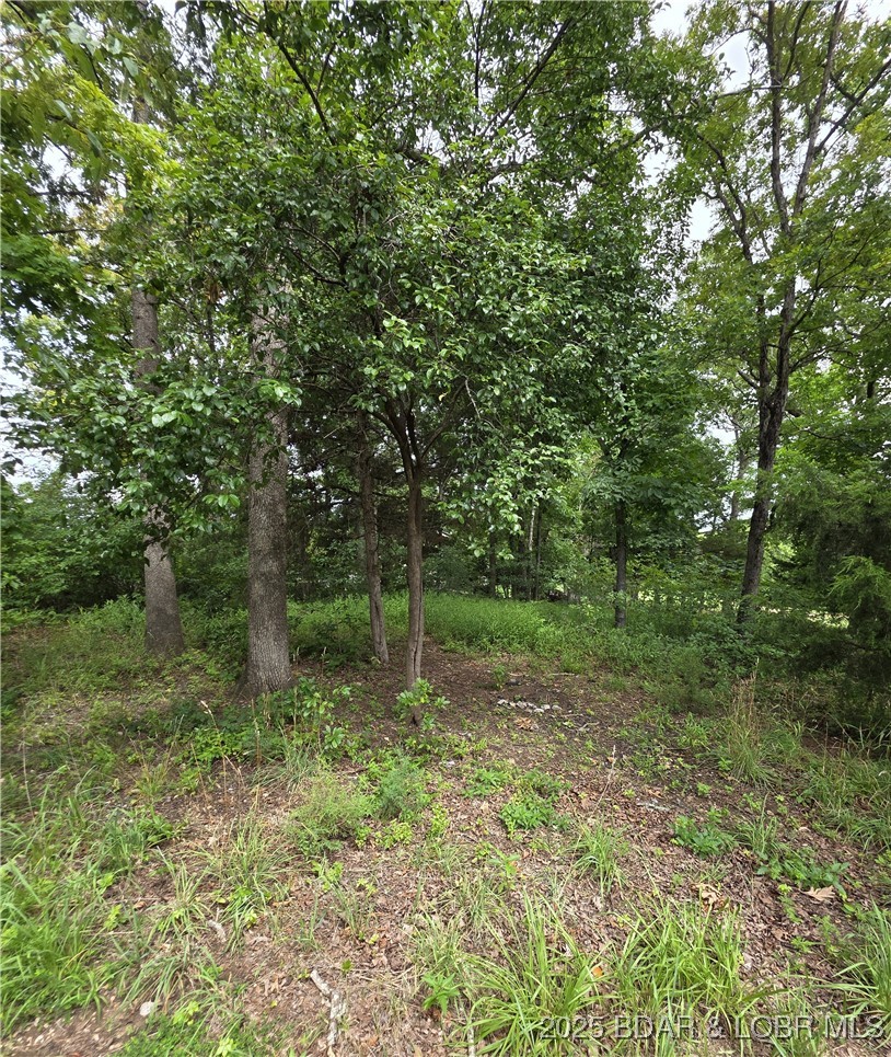 Lot 82 Highline Rd Lake Lake Ozark, MO 65049 - Photo 4 of 8