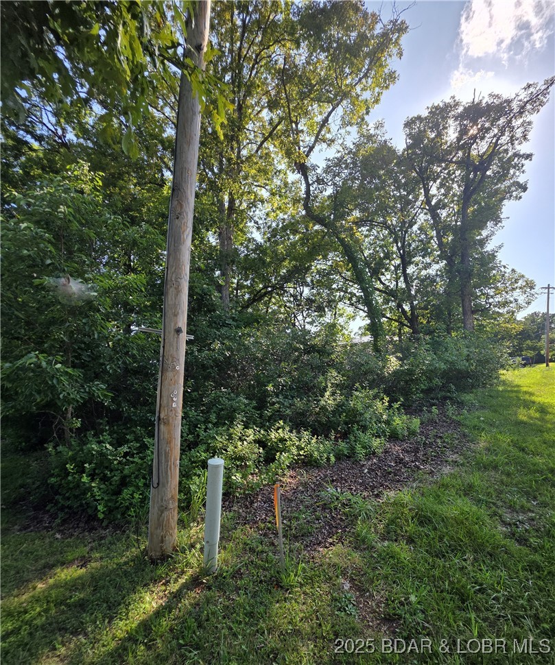 Lot 82 Highline Rd Lake Lake Ozark, MO 65049 - Photo 6 of 8