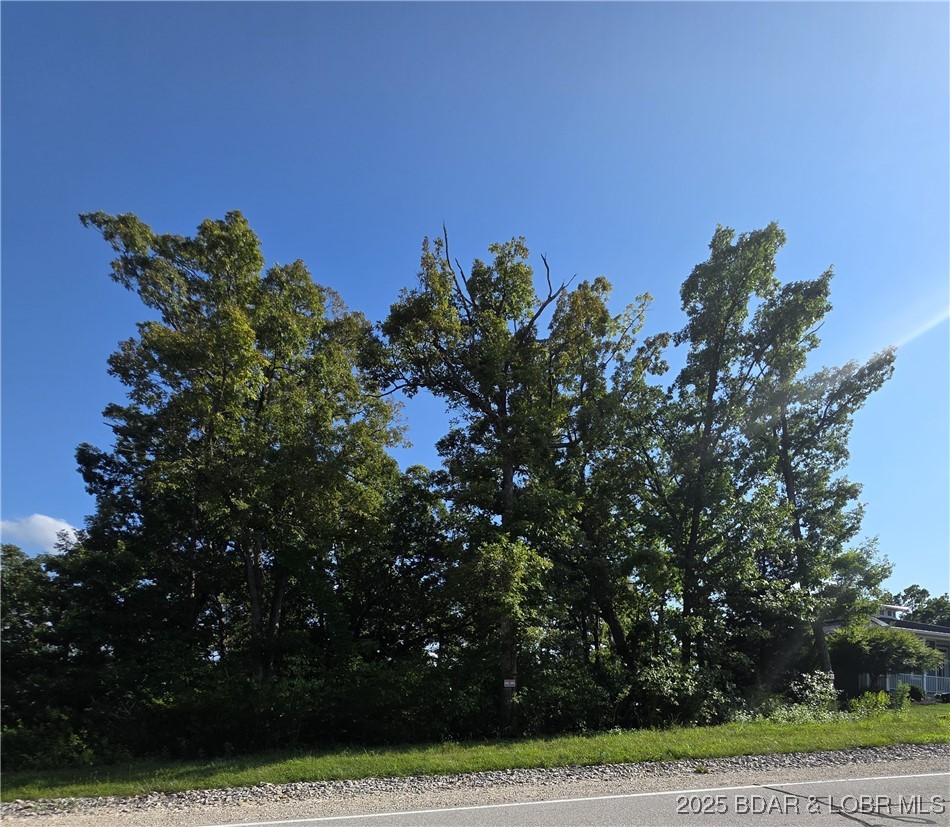 Lot 82 Highline Rd Lake Lake Ozark, MO 65049 - Photo 8 of 8
