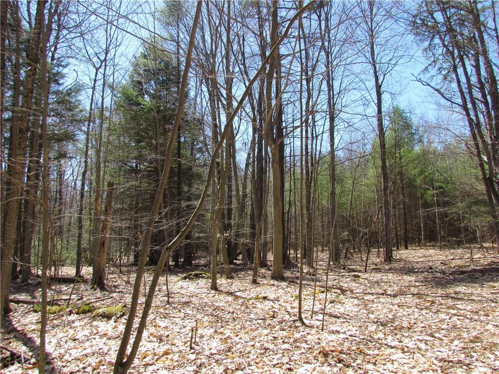 S/s South Orchard Road Cumberland Center, ME 04021 - Photo 9 of 27 Photo