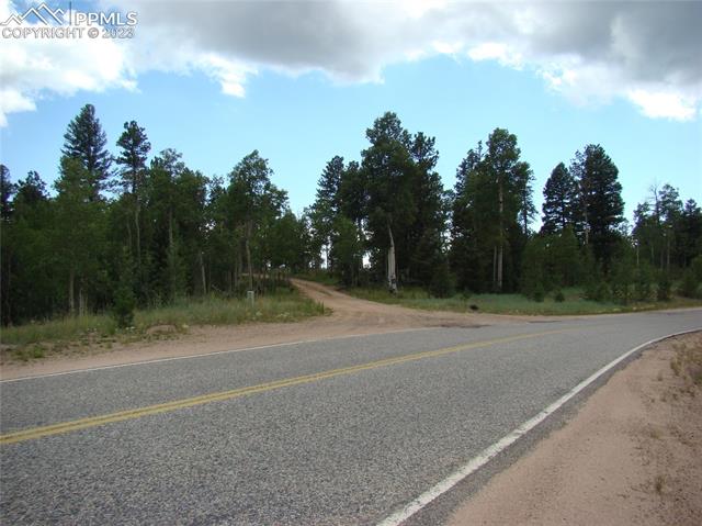 4033 Cedar Mountain Road Divide, CO 80814 - Photo 26 of 31 Gallery Image 26