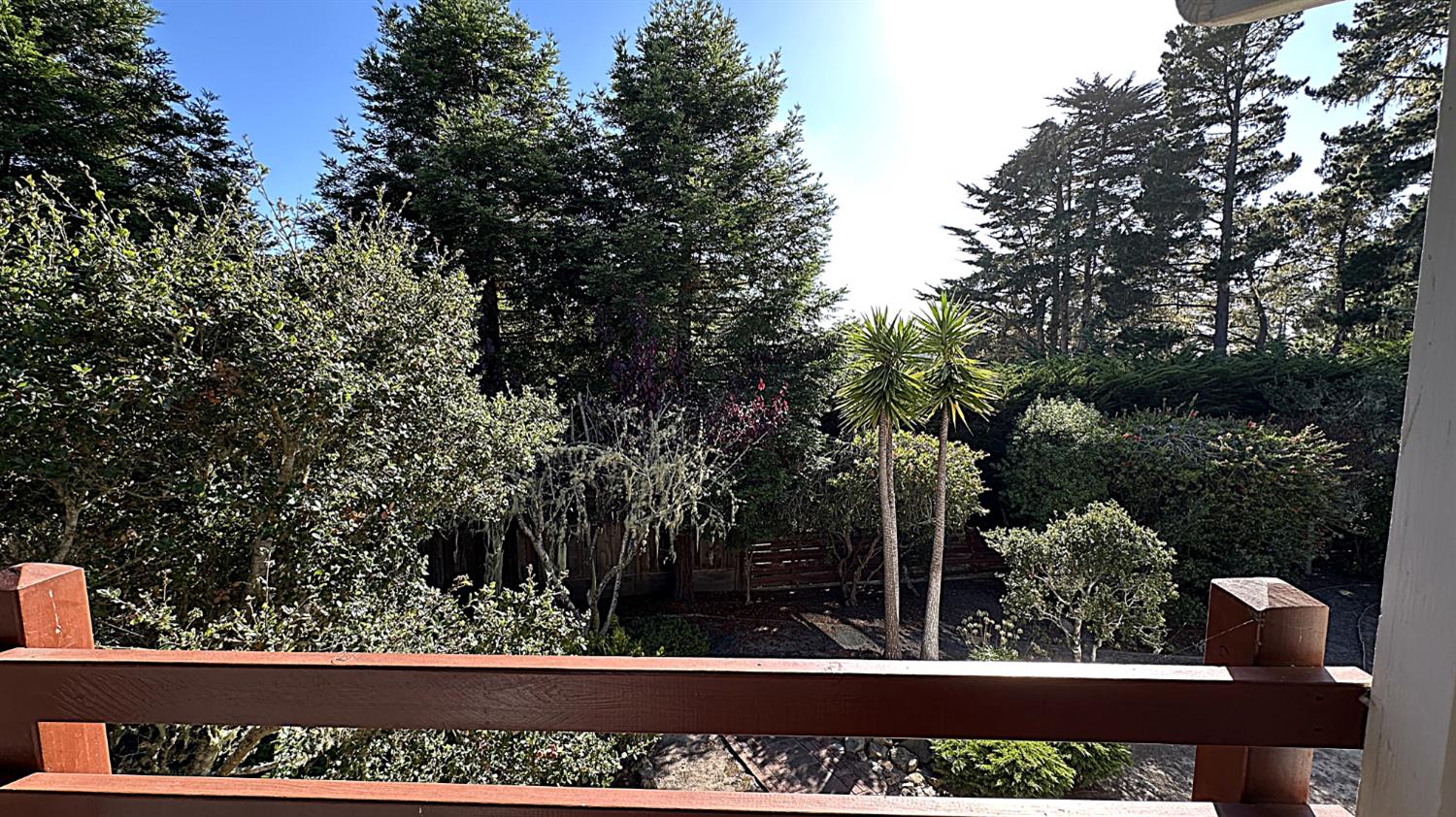 3076 Strawberry Hill Road Pebble Beach, CA 93953 - Photo 15 of 15 a view of a back yard of the green space