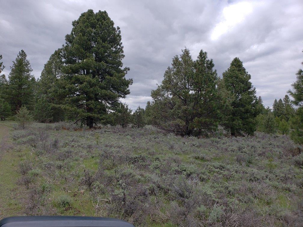 0 24 Bamford Road Bly, OR 97622 - Photo 2 of 19 Additional Photo