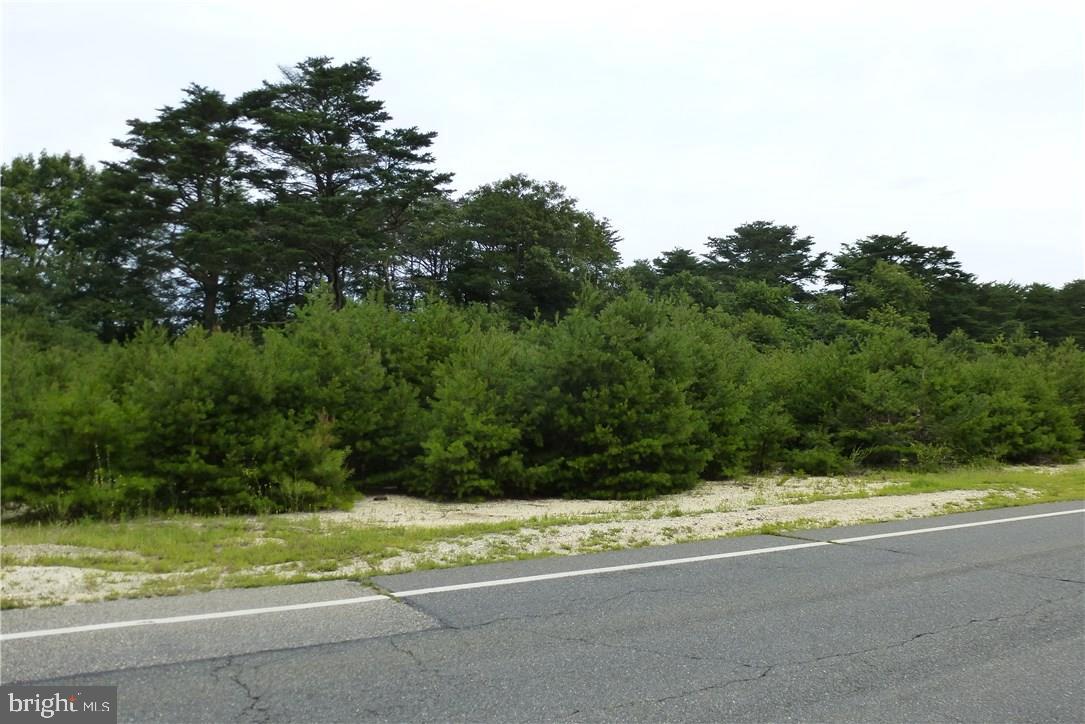 1302 Radio Road Tuckerton, NJ 08087 - Photo 2 of 5 Gallery Image 2
