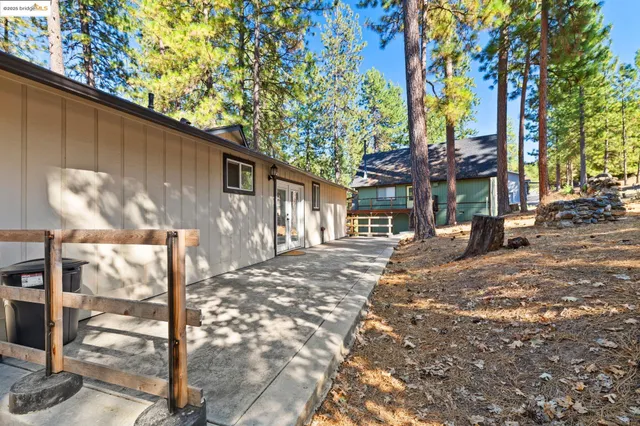 a street view with large trees