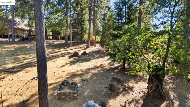 a view of a yard with trees