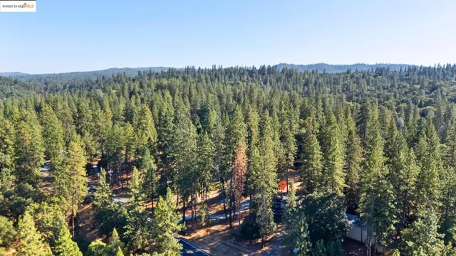 a view of a city with lush green forest