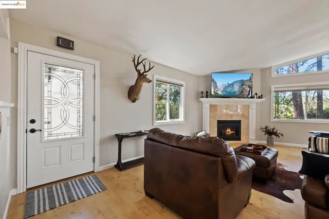 a living room with furniture and a fireplace