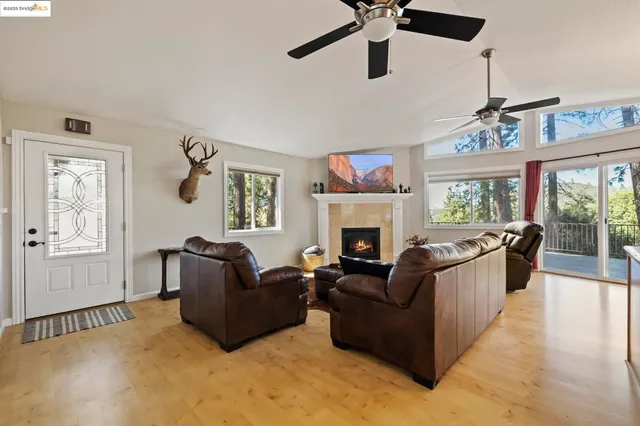 a living room with furniture a flat screen tv and a fireplace