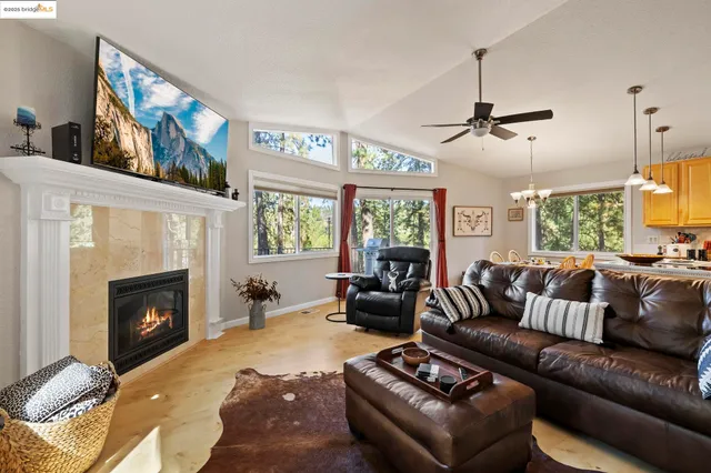 a living room with furniture window and a fireplace