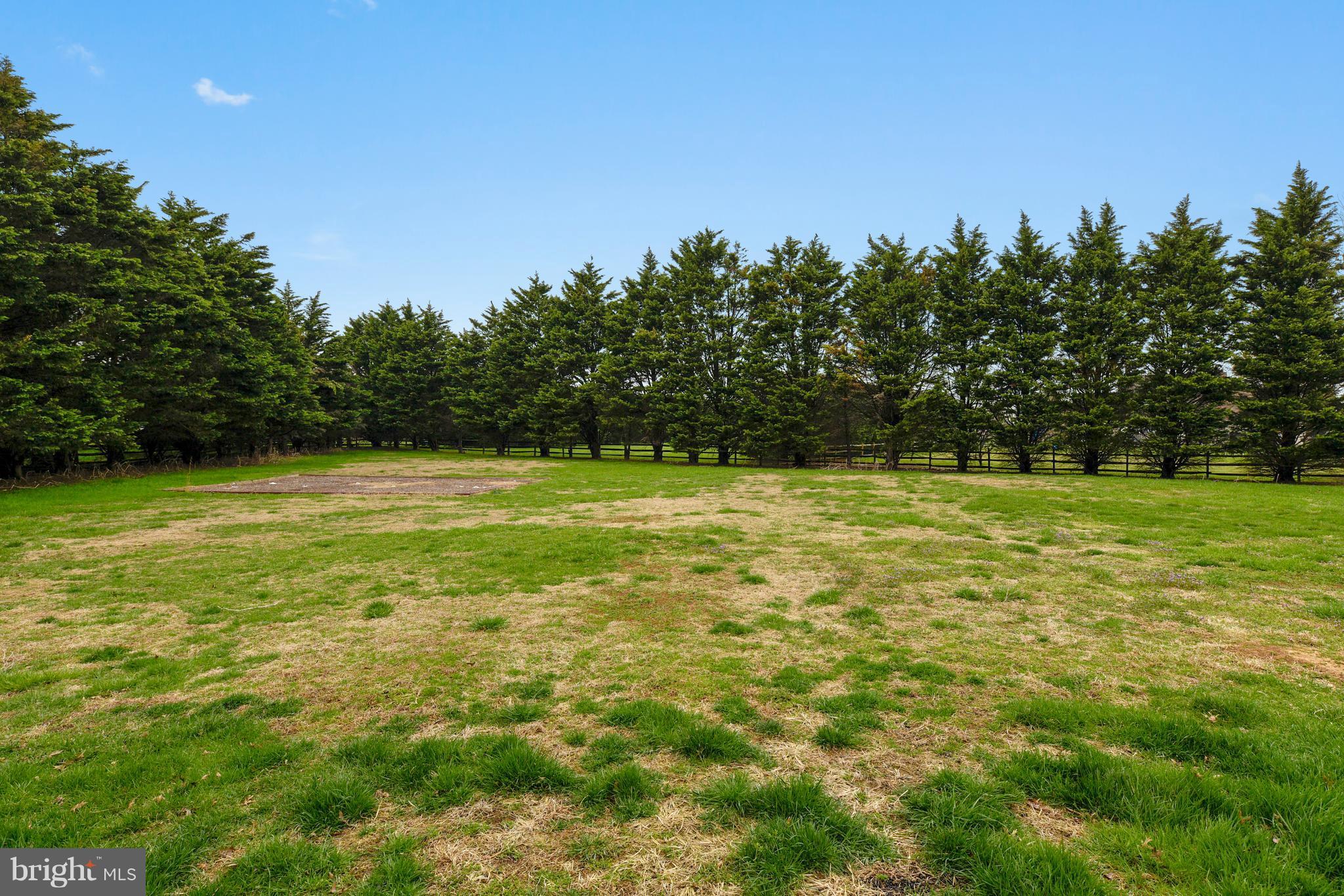 213 Myers Road Chestertown, MD 21620 - Photo 7 of 29 Fully Fenced and Trees for Privacy