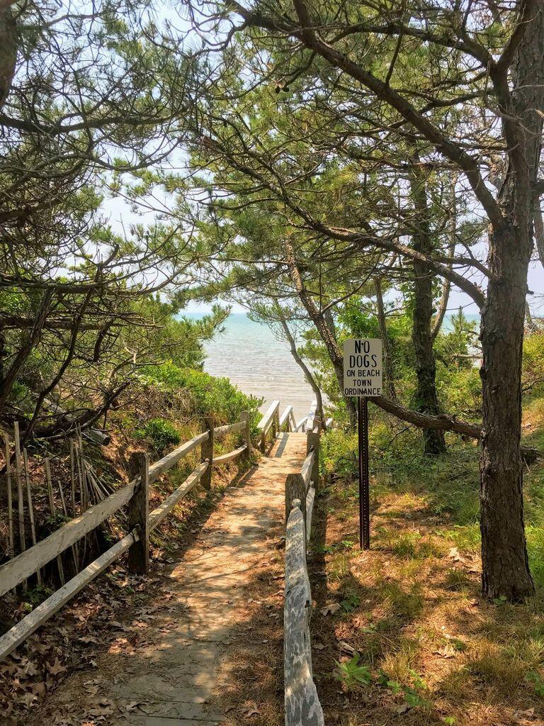 105 Townsend Avenue Eastham, MA 02642 - Photo 12 of 16