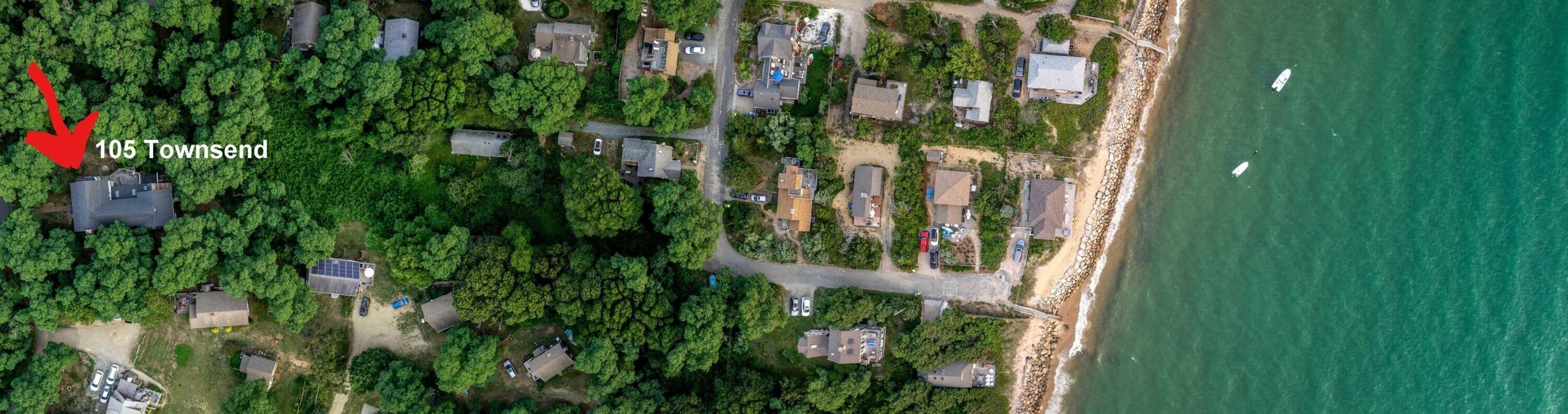 105 Townsend Avenue Eastham, MA 02642 - Photo 3 of 16 a close up of a plant in a garden