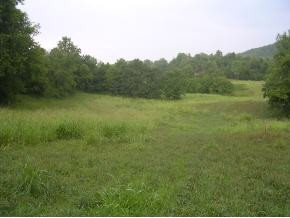 Tbd Mendota Road, Unit 3 Mendota, VA 24270 - Photo 3 of 9 Photo 3