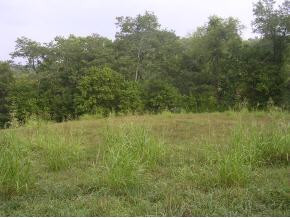 Tbd Mendota Road, Unit 3 Mendota, VA 24270 - Photo 4 of 9 Photo 4