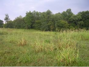 Tbd Mendota Road, Unit 3 Mendota, VA 24270 - Photo 6 of 9 Photo 6