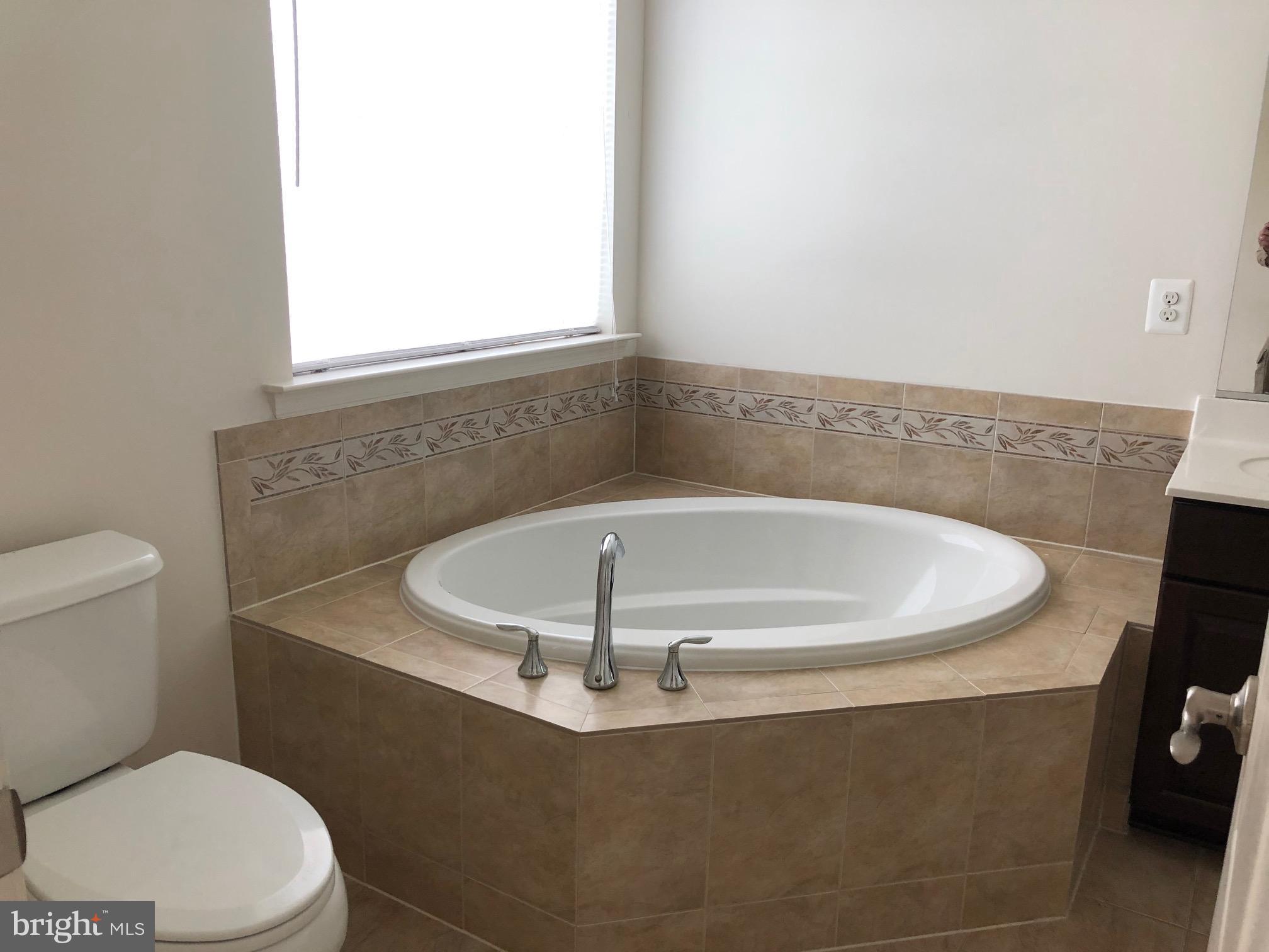13030 Yellow Jacket Road Hagerstown, MD 21740 - Photo 20 of 22 Master Bath