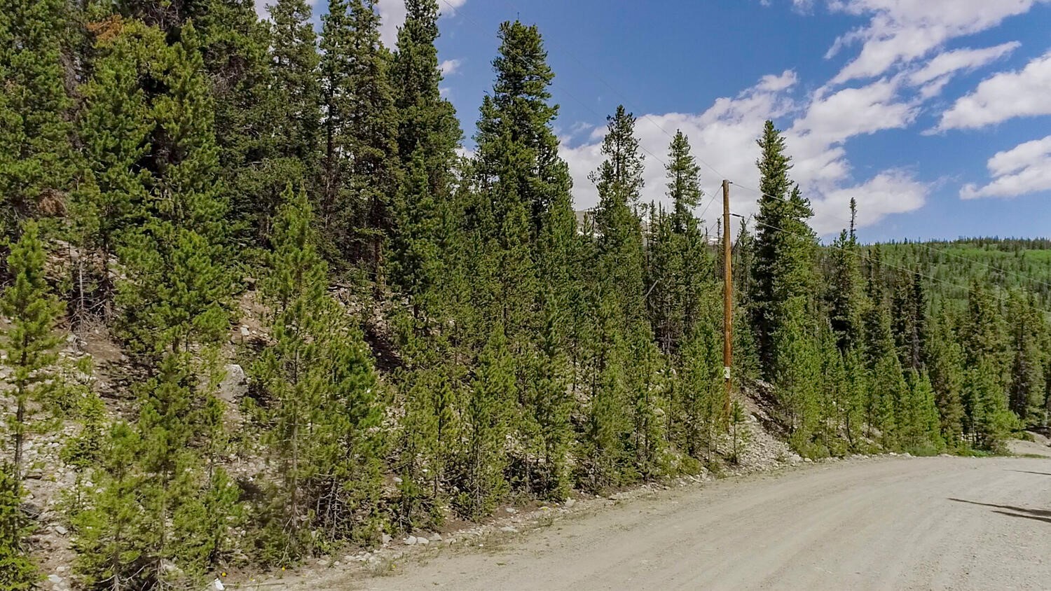 503 Golden Hills Road Fairplay, CO 80440 - Photo 7 of 36 View of dirt / gravel road featuring a forest view