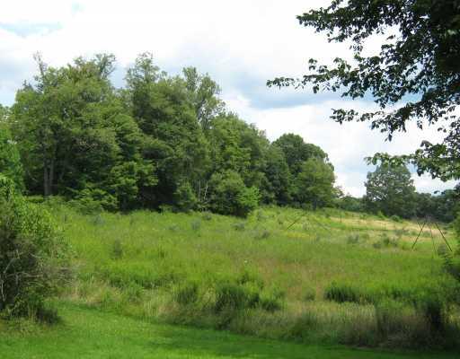679 Georgetown Road Harrisville, PA 16038 - Photo 11 of 17 Land/Lot.
