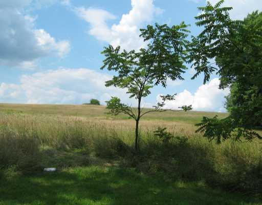 679 Georgetown Road Harrisville, PA 16038 - Photo 14 of 17 Land/Lot.