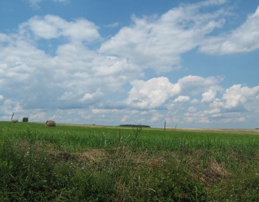 679 Georgetown Road Harrisville, PA 16038 - Photo 17 of 17 Land/Lot.