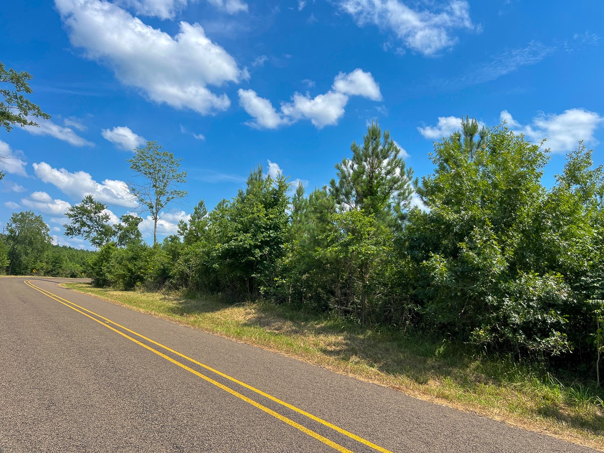 5 Interstate 35 Natalia, TX 78059 - Photo 3 of 9