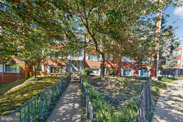 a view of a pathway with a yard