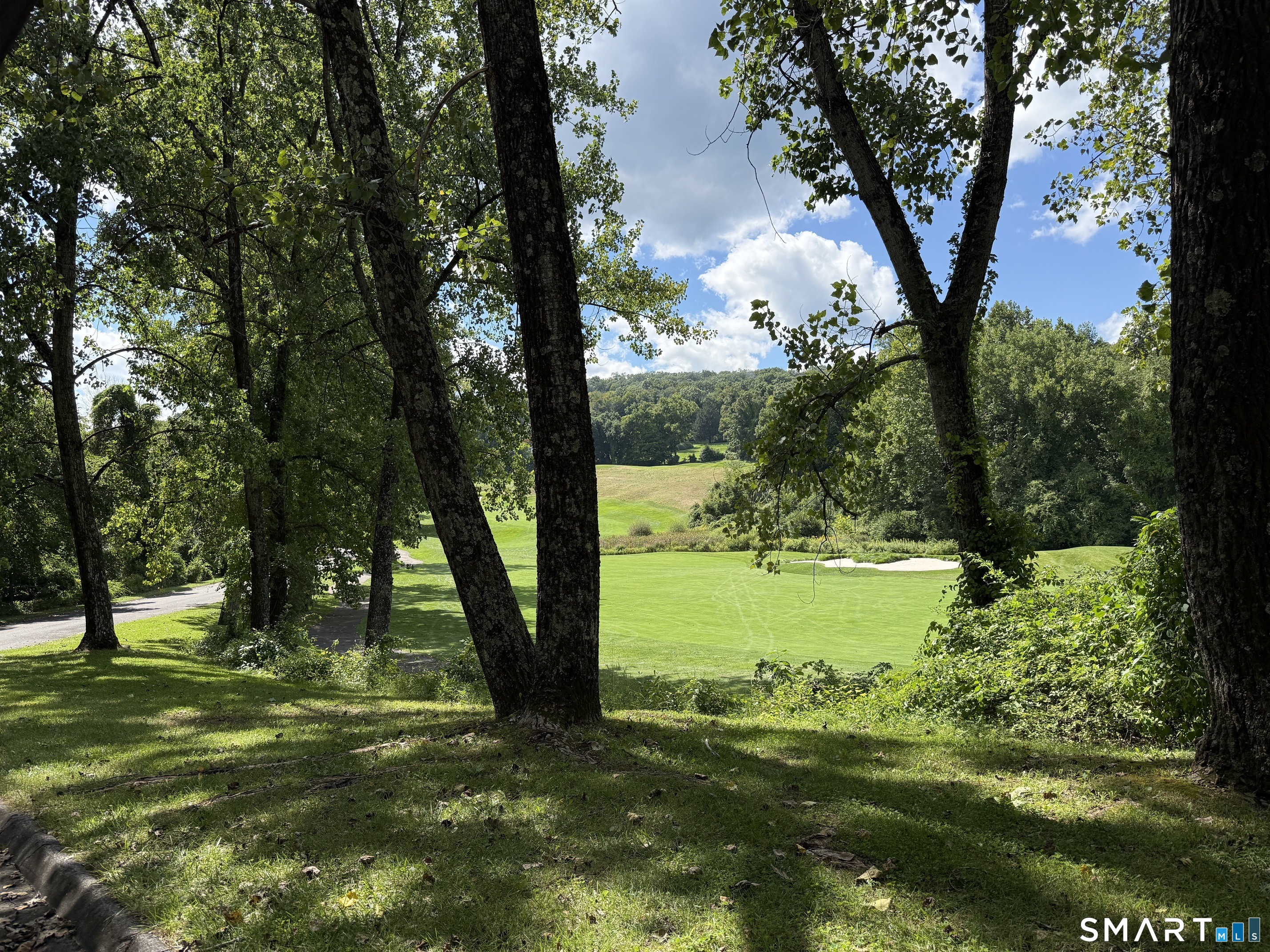 97 Long River Road Sherman, CT 06784 - Photo 14 of 29 Two acres waiting for your home across from the green