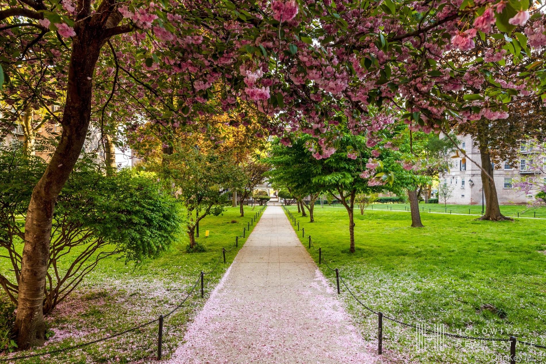 55-03 31st Avenue, Unit C6K Queens, NY 11377 - Photo 11 of 13 a park with large trees