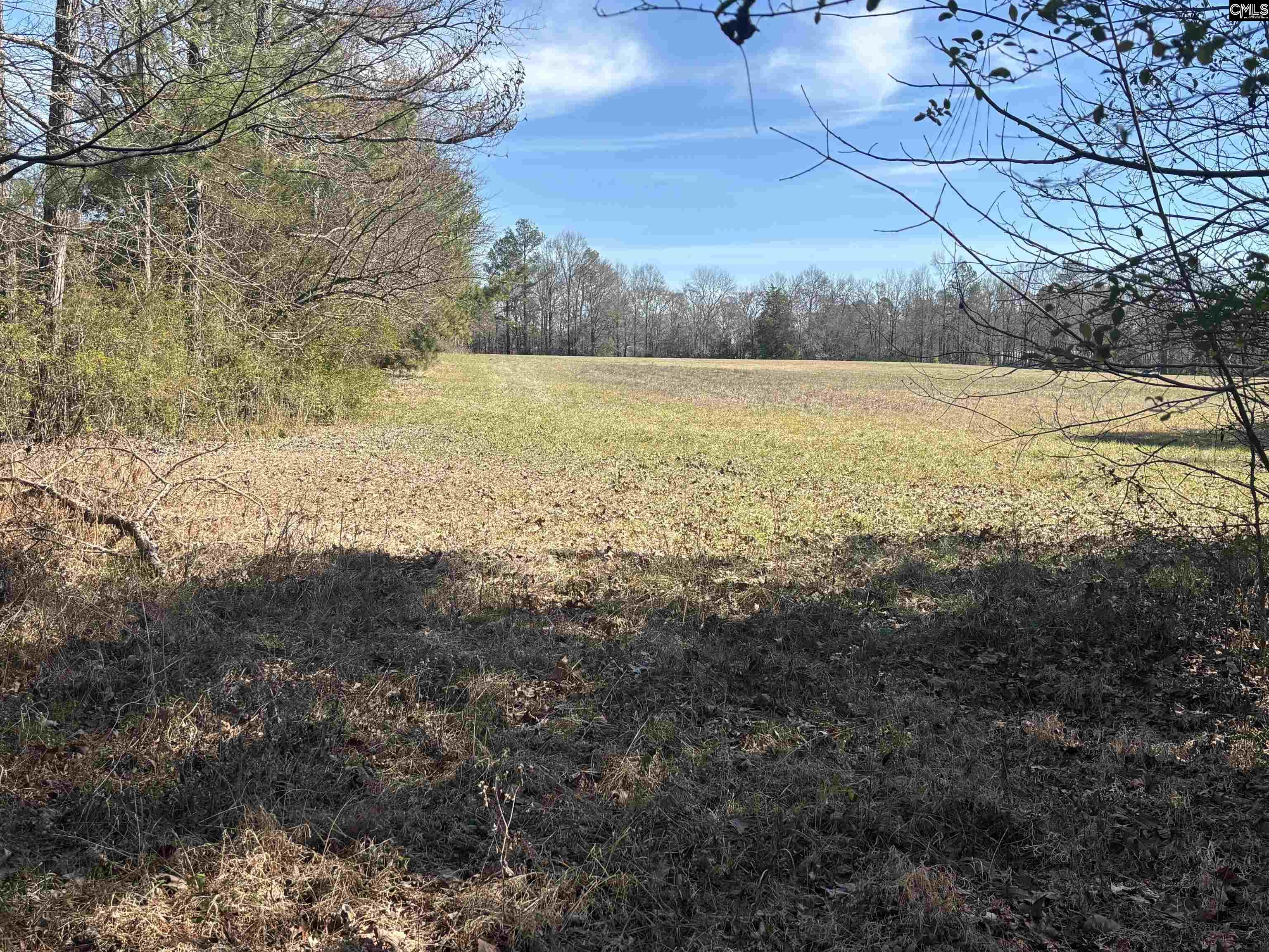 0 Bethany Road Saluda, SC 29138 - Photo 20 of 24