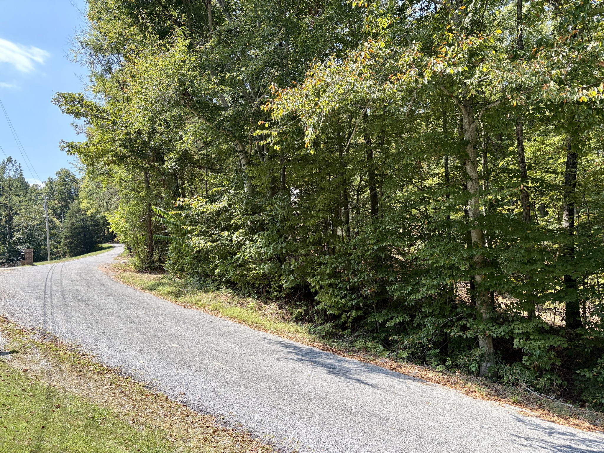 0 Mayes Road Kingston Springs, TN 37082 - Photo 2 of 30 Gallery Image 2