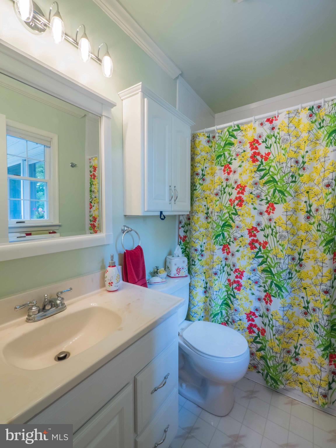 17705 St Inigoes Road St. Inigoes, MD 20684 - Photo 22 of 30 Bath (Master)
